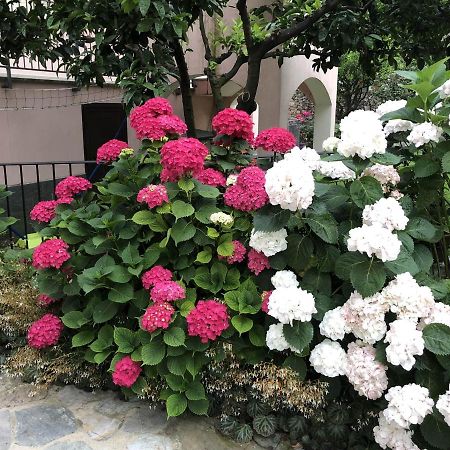 B&B Ca' Du Brigidin Tovo San Giacomo エクステリア 写真