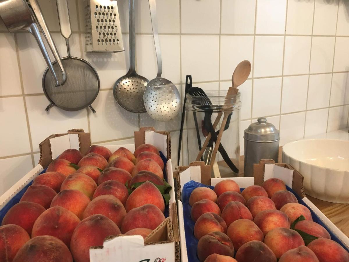 B&B Ca' Du Brigidin Tovo San Giacomo エクステリア 写真