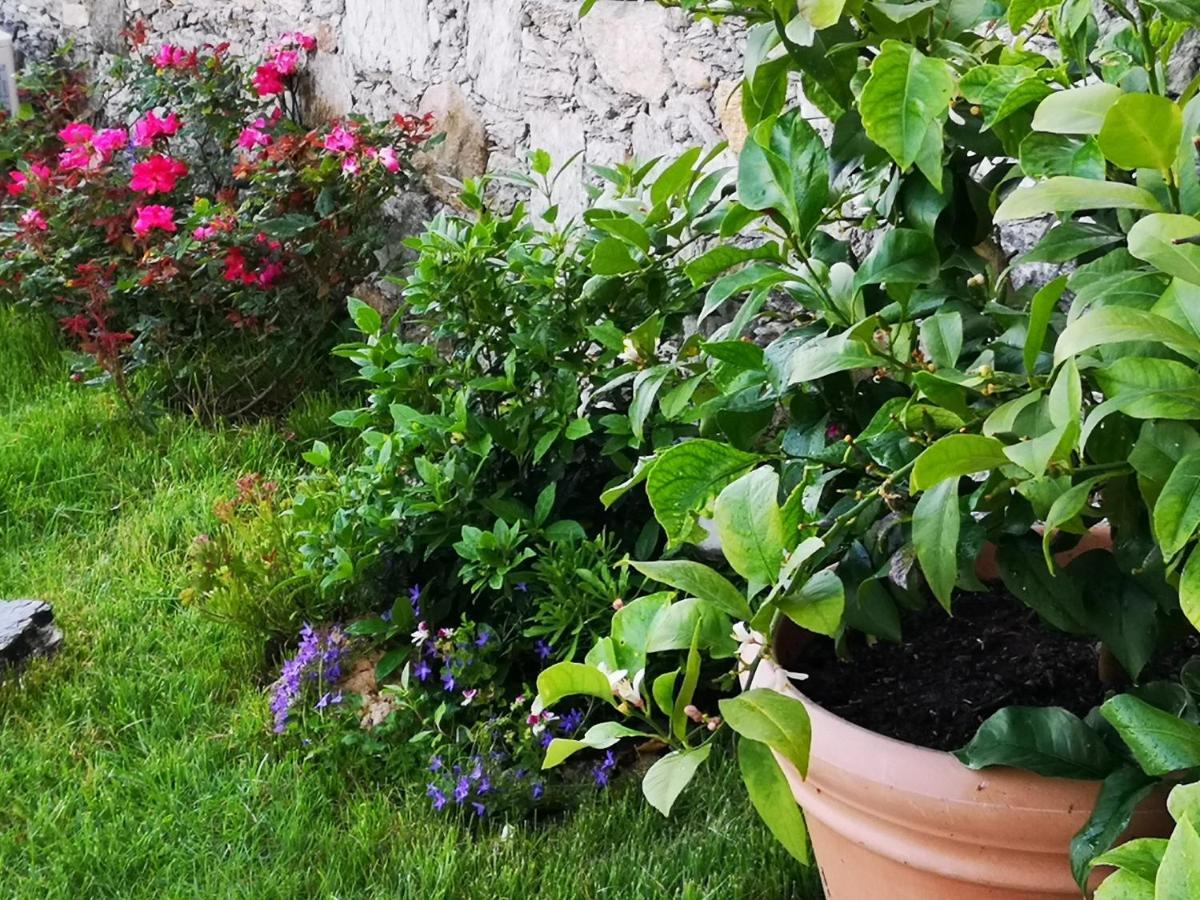 B&B Ca' Du Brigidin Tovo San Giacomo エクステリア 写真