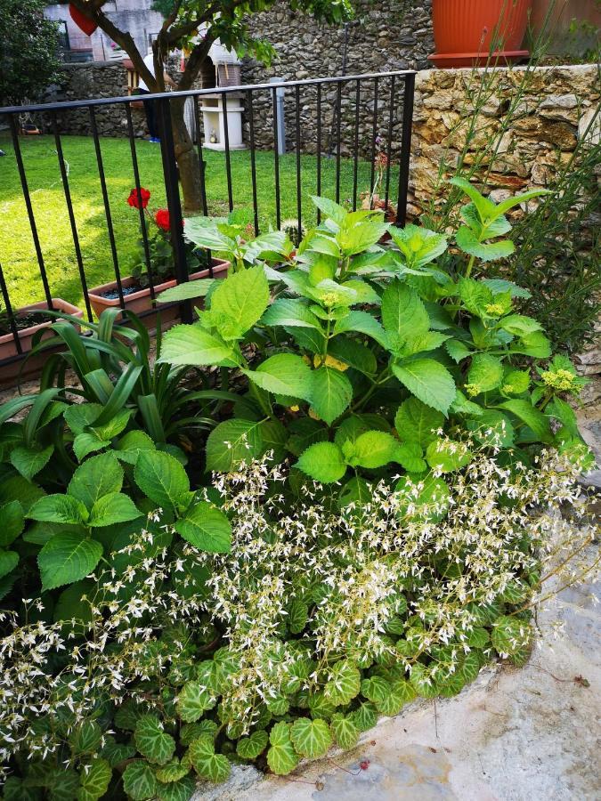 B&B Ca' Du Brigidin Tovo San Giacomo エクステリア 写真