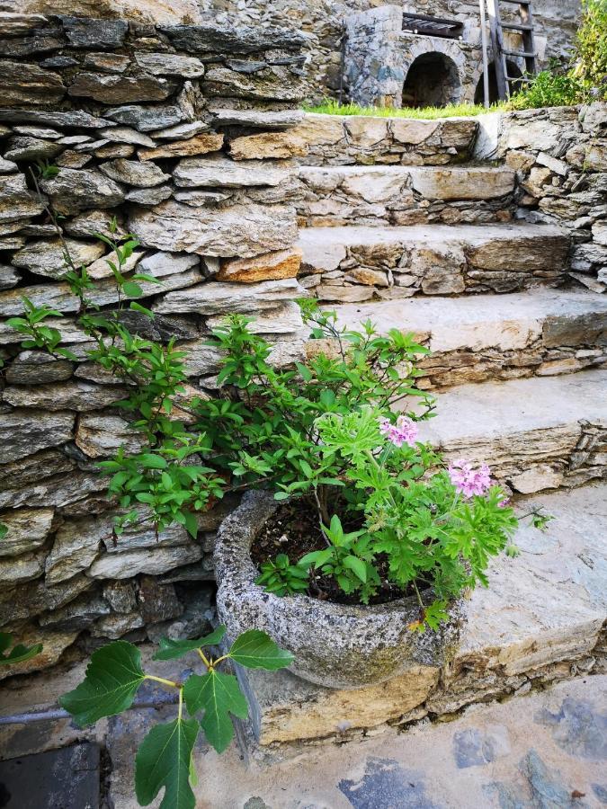 B&B Ca' Du Brigidin Tovo San Giacomo エクステリア 写真