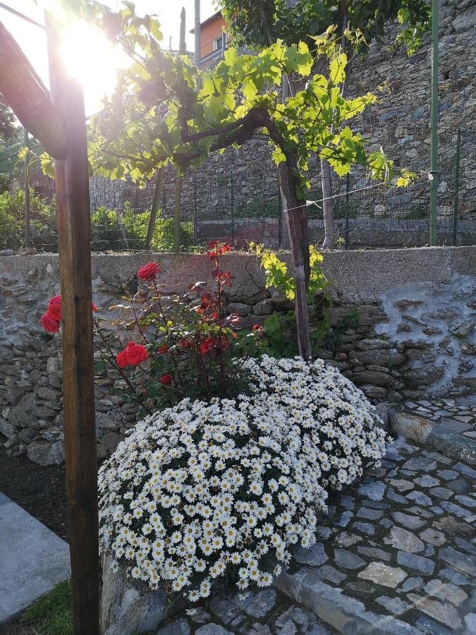 B&B Ca' Du Brigidin Tovo San Giacomo エクステリア 写真