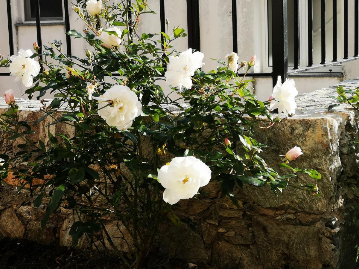 B&B Ca' Du Brigidin Tovo San Giacomo エクステリア 写真