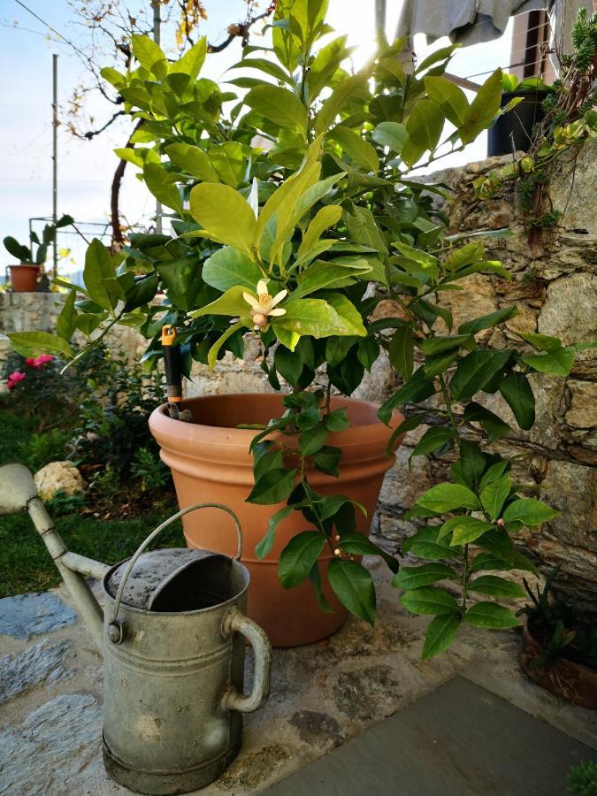 B&B Ca' Du Brigidin Tovo San Giacomo エクステリア 写真