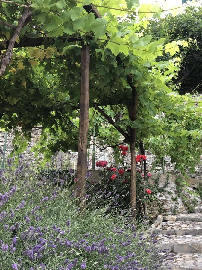 B&B Ca' Du Brigidin Tovo San Giacomo エクステリア 写真
